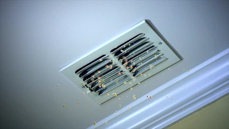 Best Professional Duct Cleaning Services  in Woodburn, VA