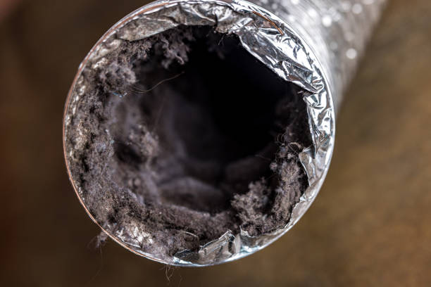 Best Affordable Duct Cleaning Services  in Woodburn, VA
